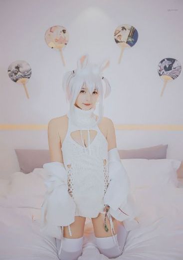 空姐2019
